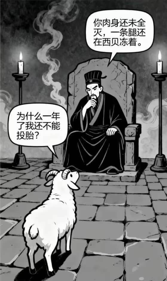 你肉身还未全灭，一条腿还在西贝冻着。为什么一年了我还不能投胎