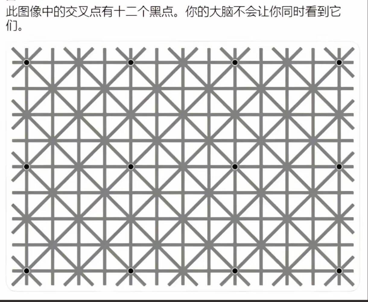 此图像中的交叉点有十二个黑点。你的大脑不会让你同时看到它们。