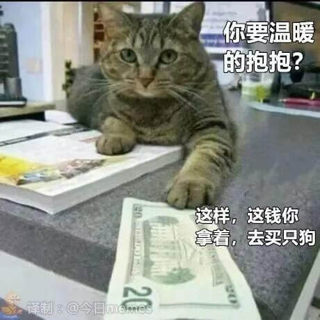 你要温暖的抱抱？这样，这钱你拿着，去买只狗译制：@今日men
