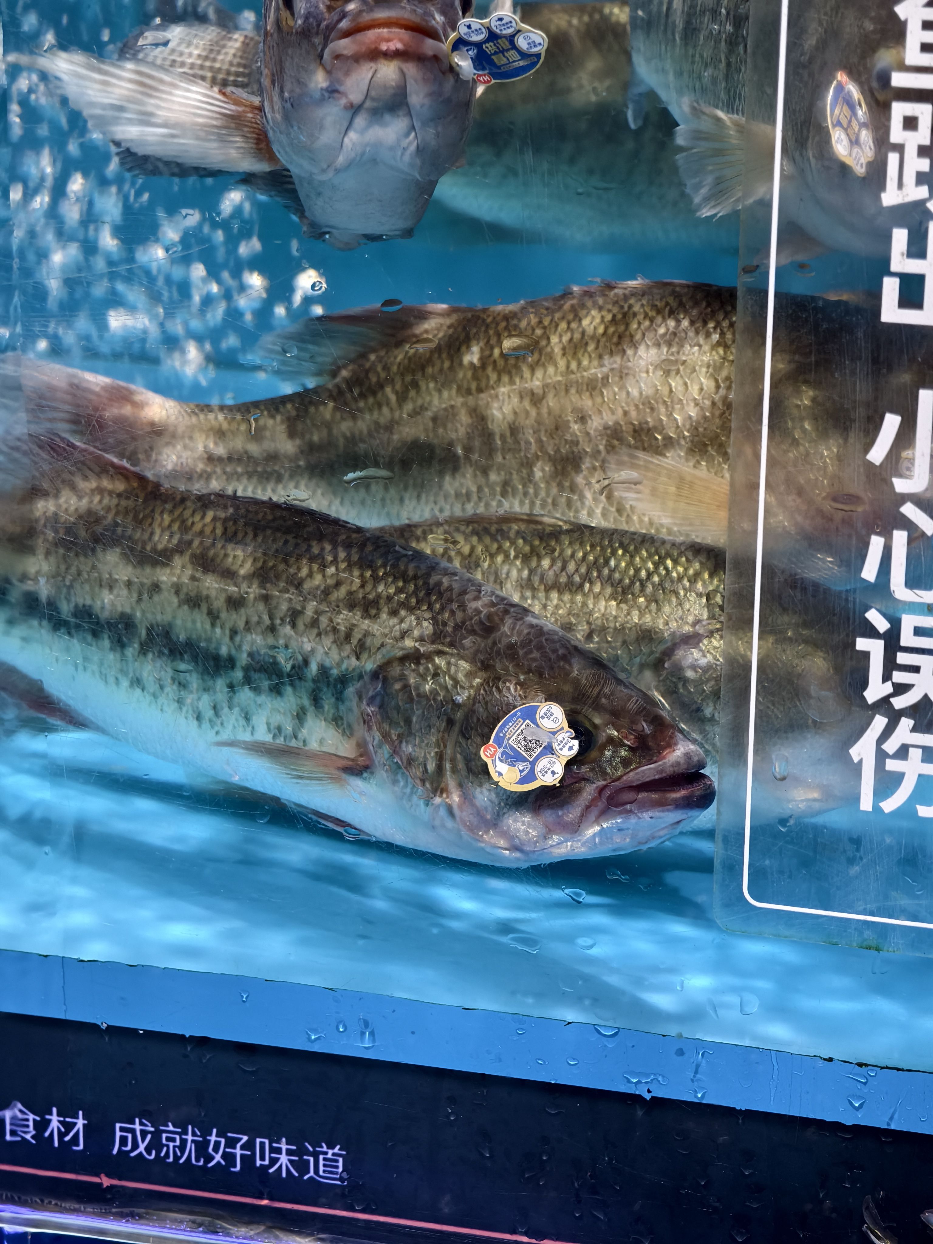 食材成就好味道