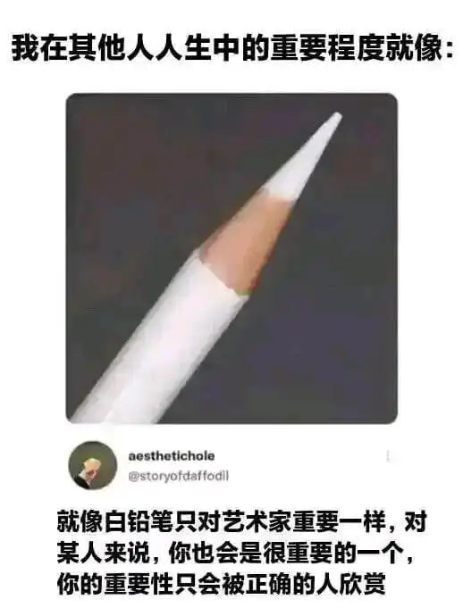 我在其他人人生中的重要程度就像：aesthetichole@