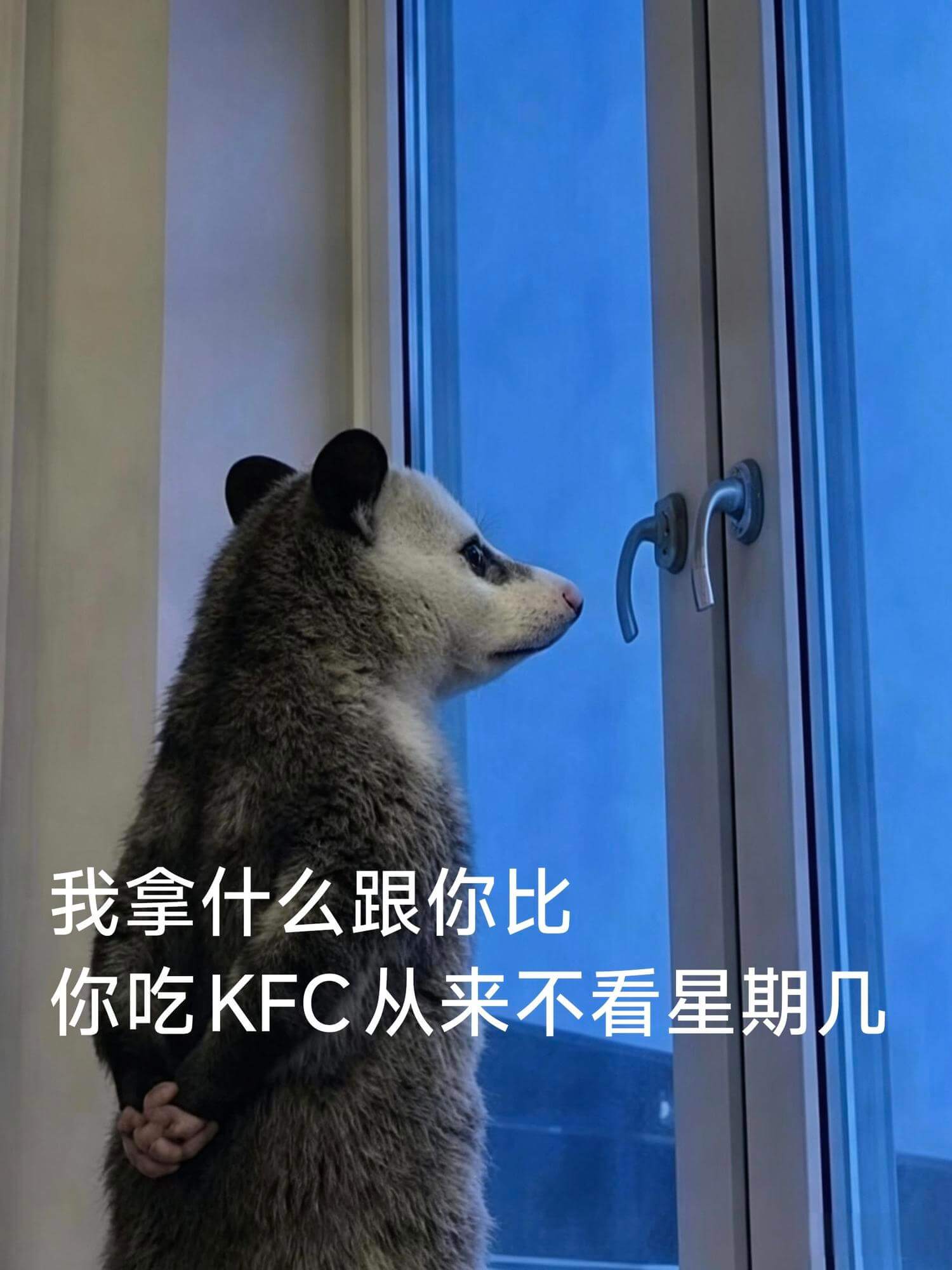 我拿什么跟你比,你吃KFC从来不看星期几。