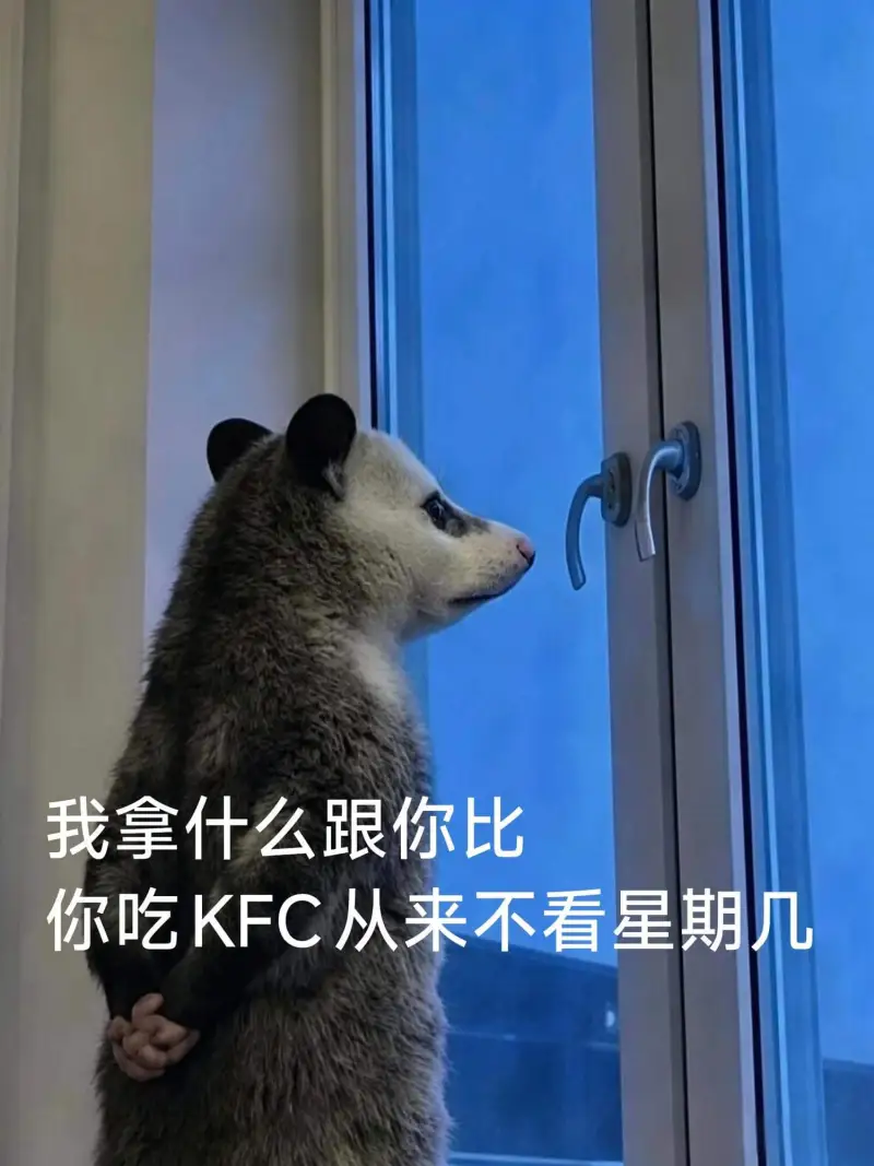 我拿什么跟你比，你吃KFC从来不看星期几。
