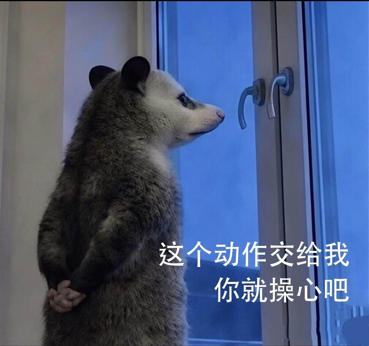 这个动作交给我，你就操心吧。