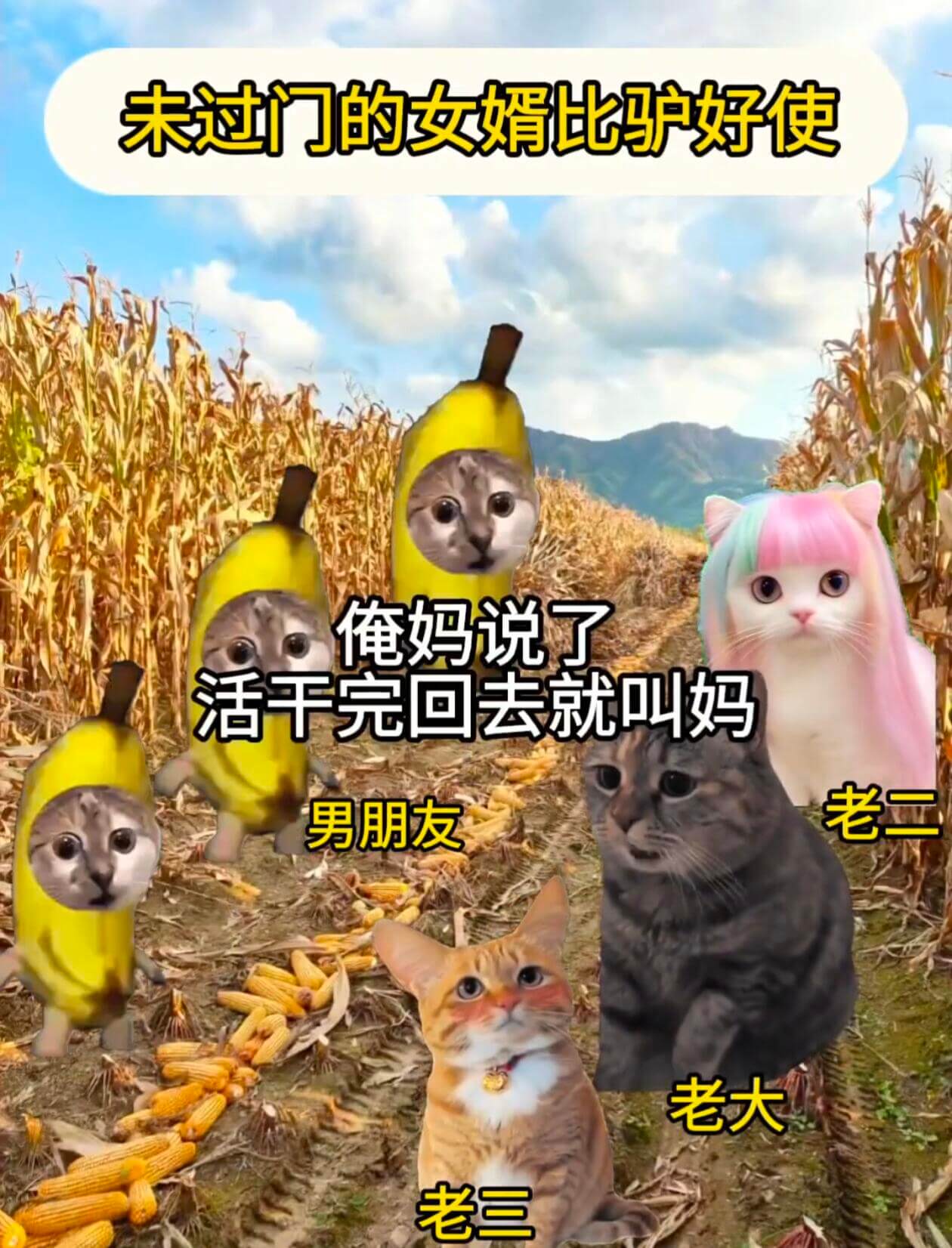 未过门的女婿比驴好使俺妈说了活干完回去就叫妈老二男朋友老大老