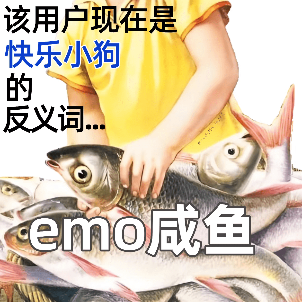 该用户现在是快乐小狗的反义词。emo咸鱼