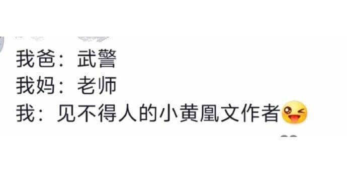 我爸：武警我妈：老师我：见不得人的小黄凰文作者