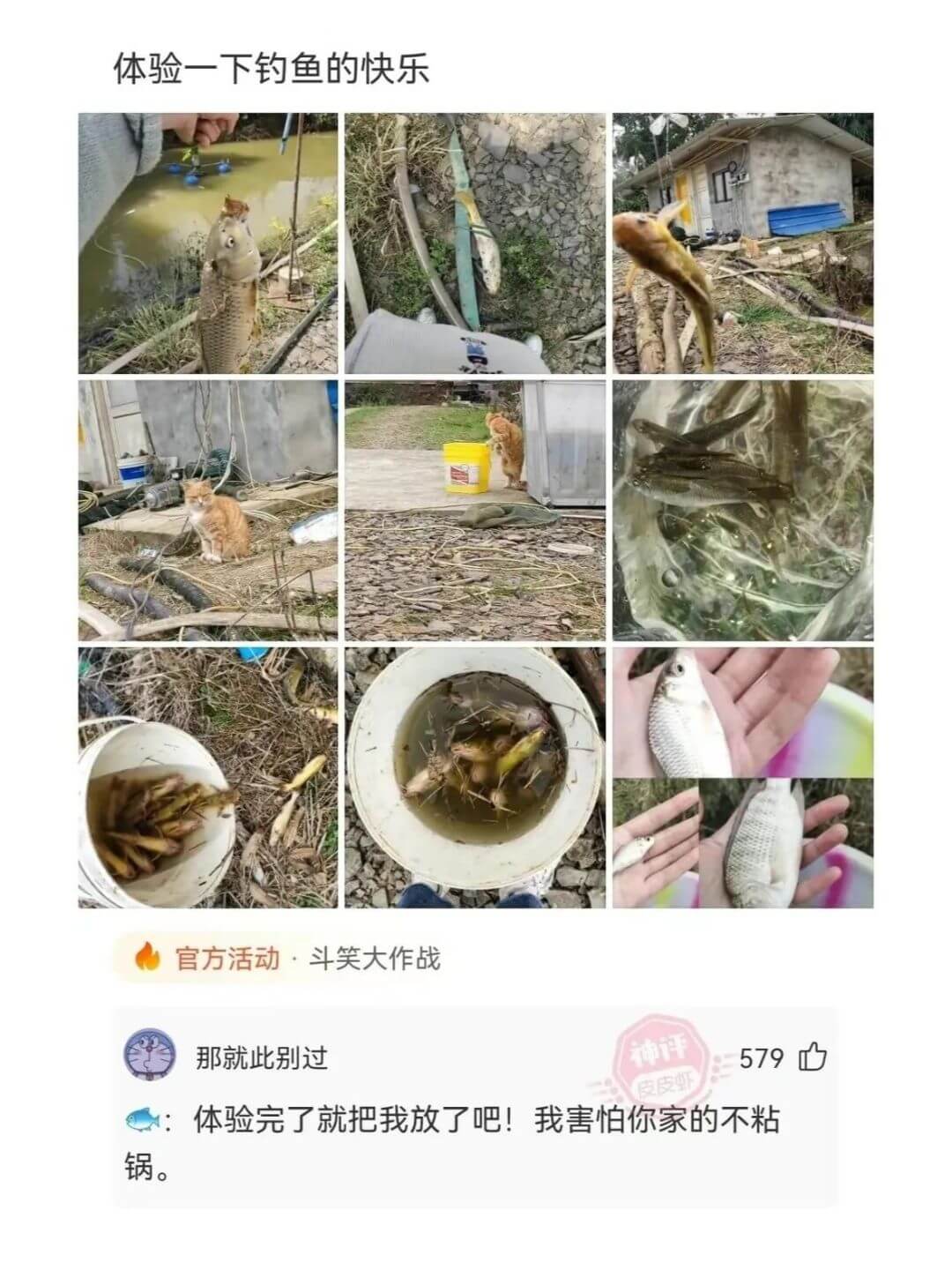 体验一下钓鱼的快乐官方活动·斗笑大作战神评那就此别过579心