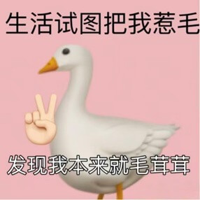 生活试图把我惹毛，发现我本来就毛茸茸。