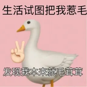 生活试图把我惹毛，发现我本来就毛茸茸。
