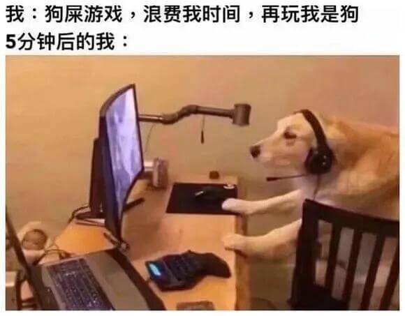 我：狗屎游戏，浪费我时间，再玩我是狗。5分钟后的我：