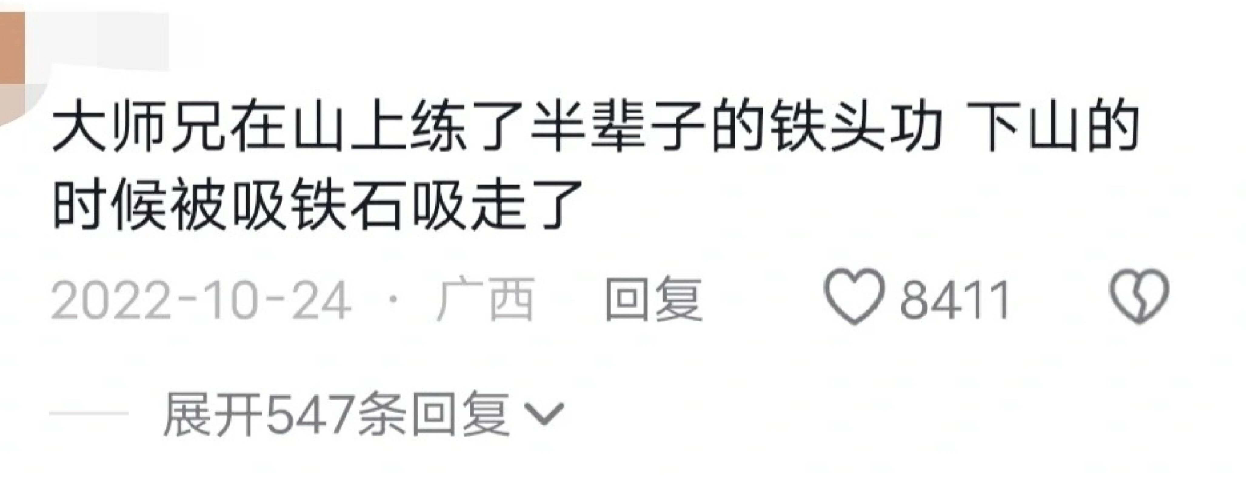 大师兄在山上练了半辈子的铁头功,下山的时候被吸铁石吸走了回复