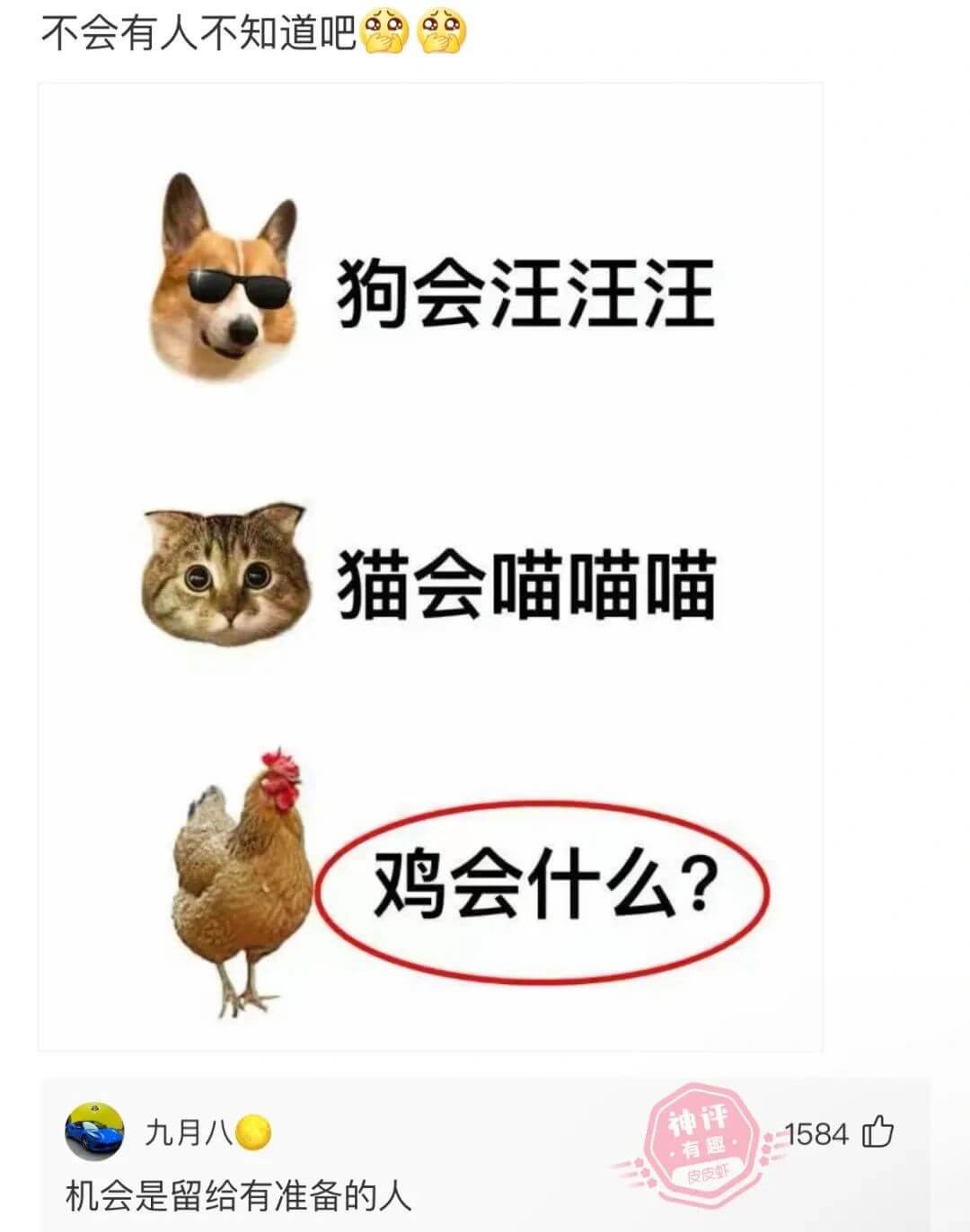 狗会汪汪汪猫会喵喵喵鸡会什么?