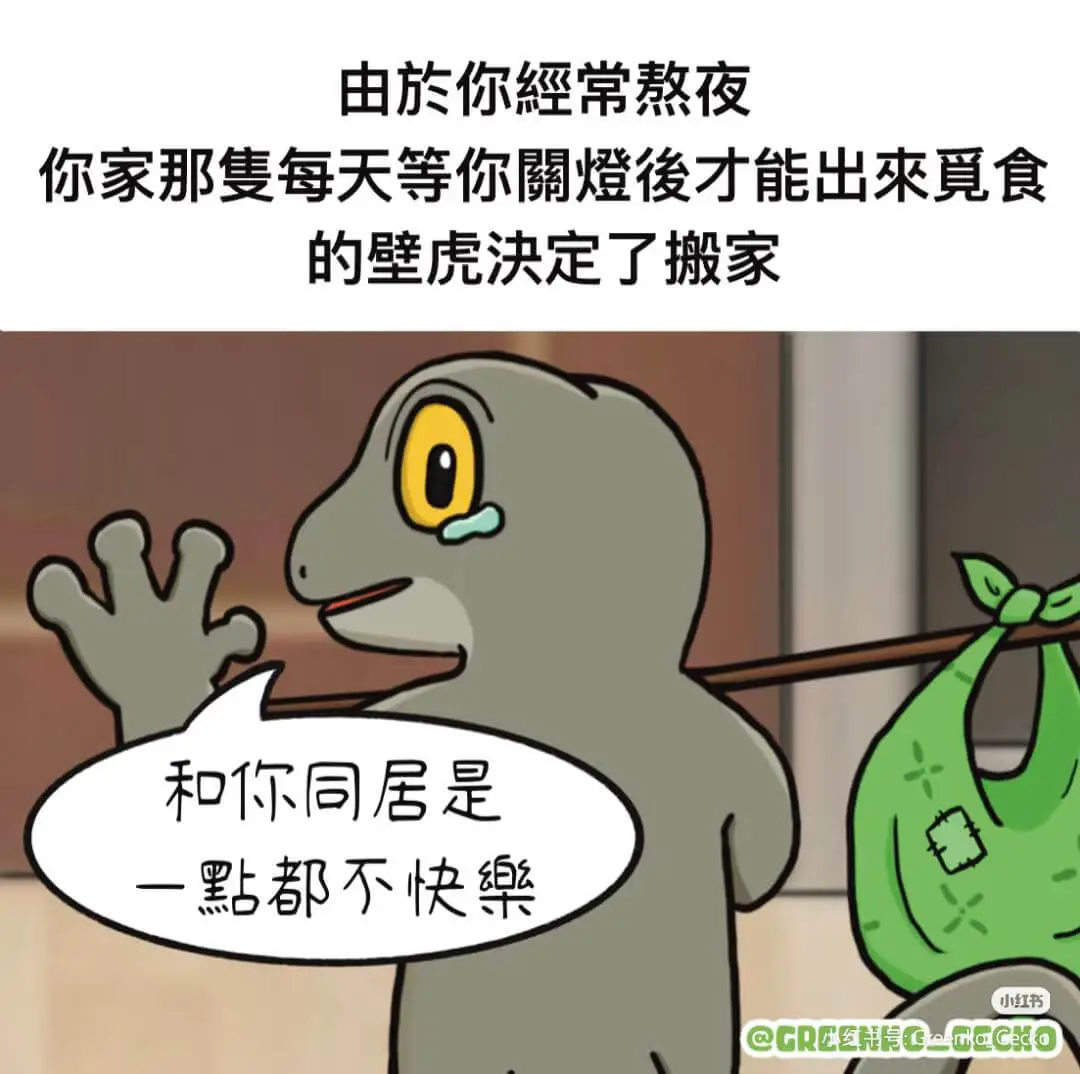由旅你經常熬夜你家那隽每天等你燈俊才能出来寬食的壁虎决定了搬