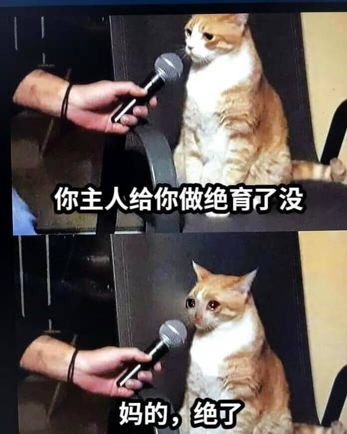你主人给你做绝育了没？妈的，绝了。