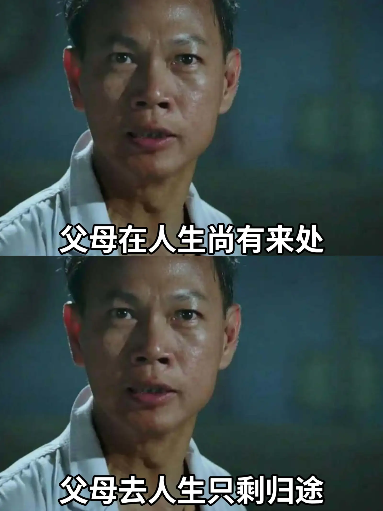父母在，人生尚有来处父母去，人生只剩归途
