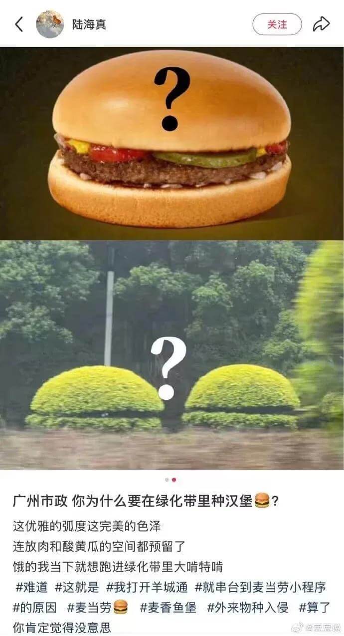 陆海真关注广州市政你为什么要在绿化带里种汉堡这优雅的弧度这完
