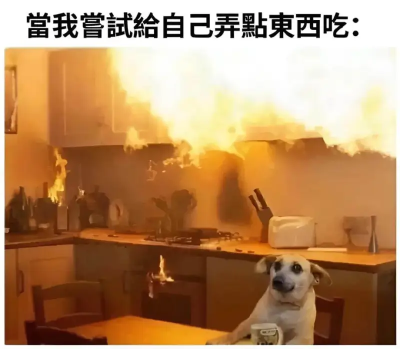 当我膏给自己弄點東西吃：