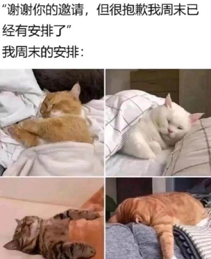 “谢谢你的邀请，但很抱歉我周末已经有安排了。我周末的安排：”