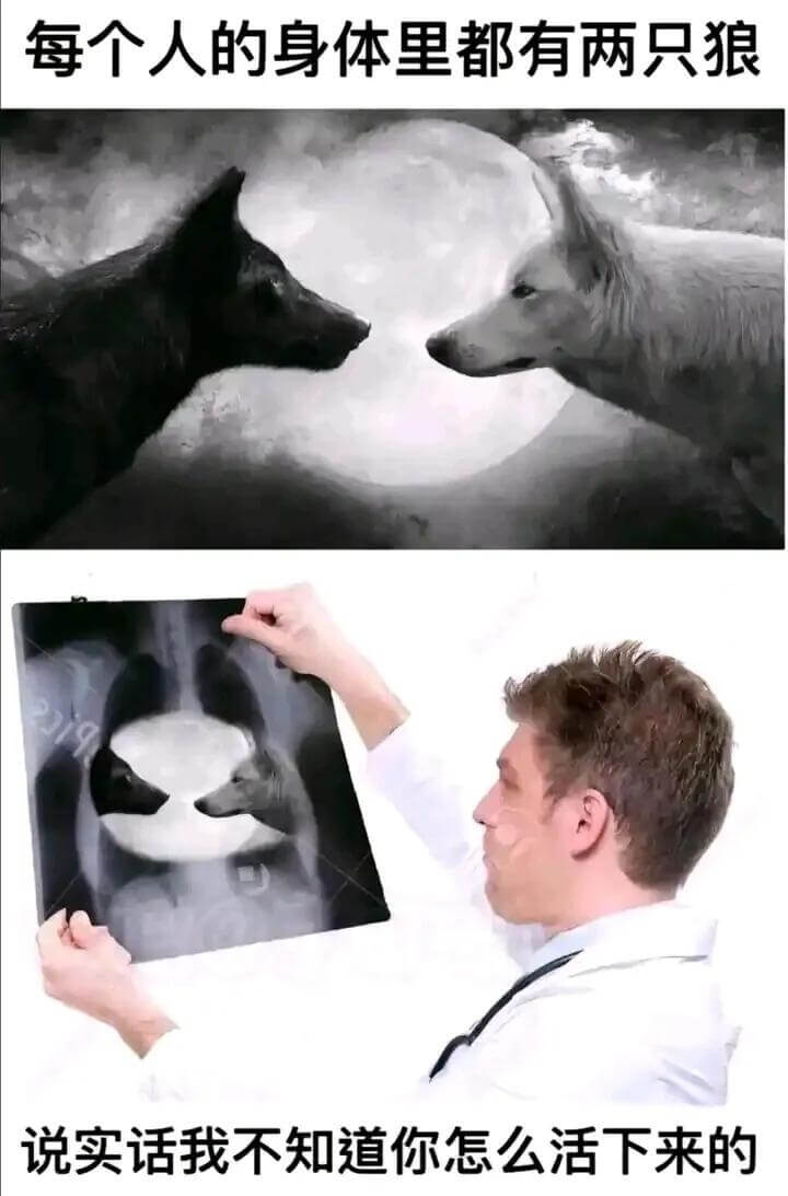 每个人的身体里都有两只狼。说实话，我不知道你怎么活下来的。