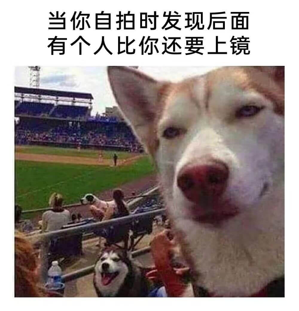 当你自拍时发现后面有个人比你还要上镜