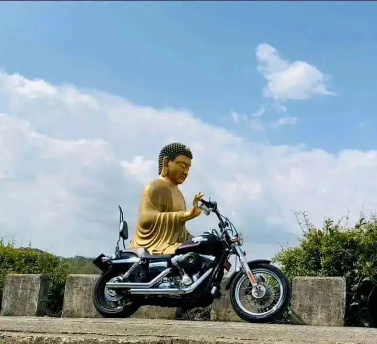 一念成佛，一念乘摩！