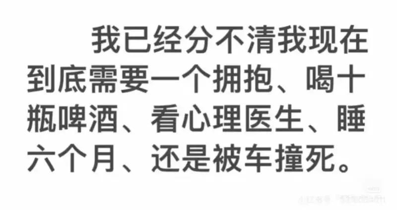 我已经分不清我现在到底需要一个拥抱、喝十瓶啤酒、看心理医生、