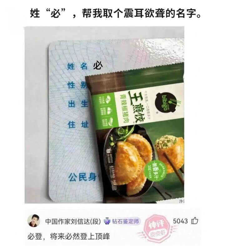 姓“必”，帮我取个震耳欲聋的名字。姓名必性别青辣椒猪肉bib