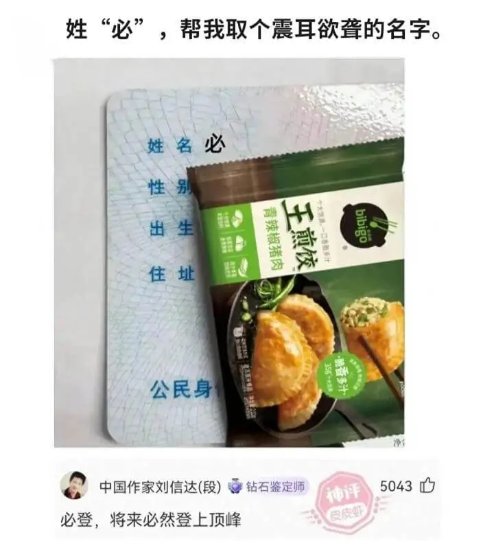 姓“必”，帮我取个震耳欲聋的名字。姓名必性别青辣椒猪肉bib
