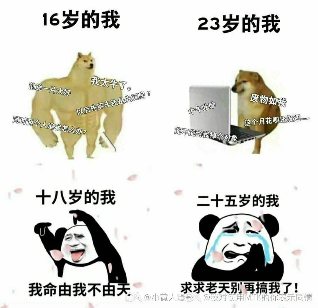 16岁的我23岁的我我太牛了。前途一片大好。废物如我，以后先