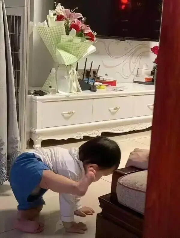 没人带就狗带咯😂