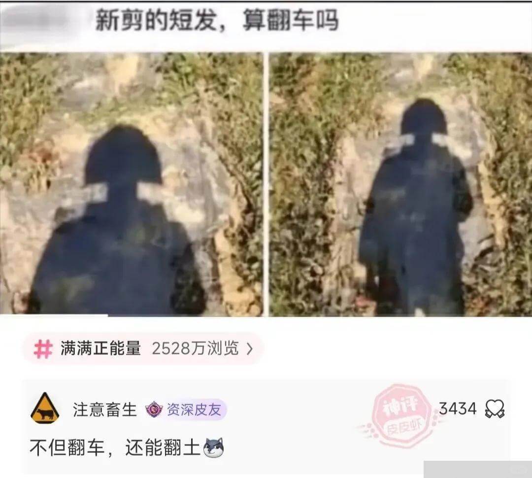 新剪的短发，算翻车吗满满正能量2528万浏览注意畜生资深皮友