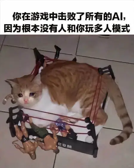 你在游戏中击败了所有的A儿因为根本没有人和你玩多人模式