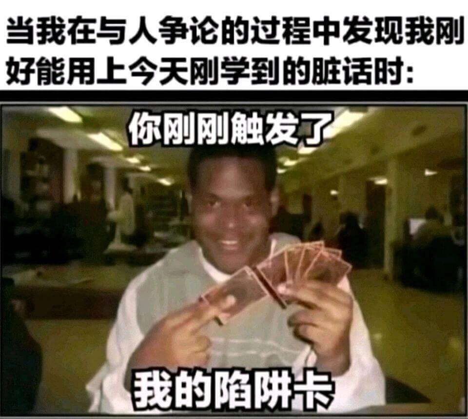 当我在与人争论的过程中发现我刚好能用上今天刚学到的脏话时：你