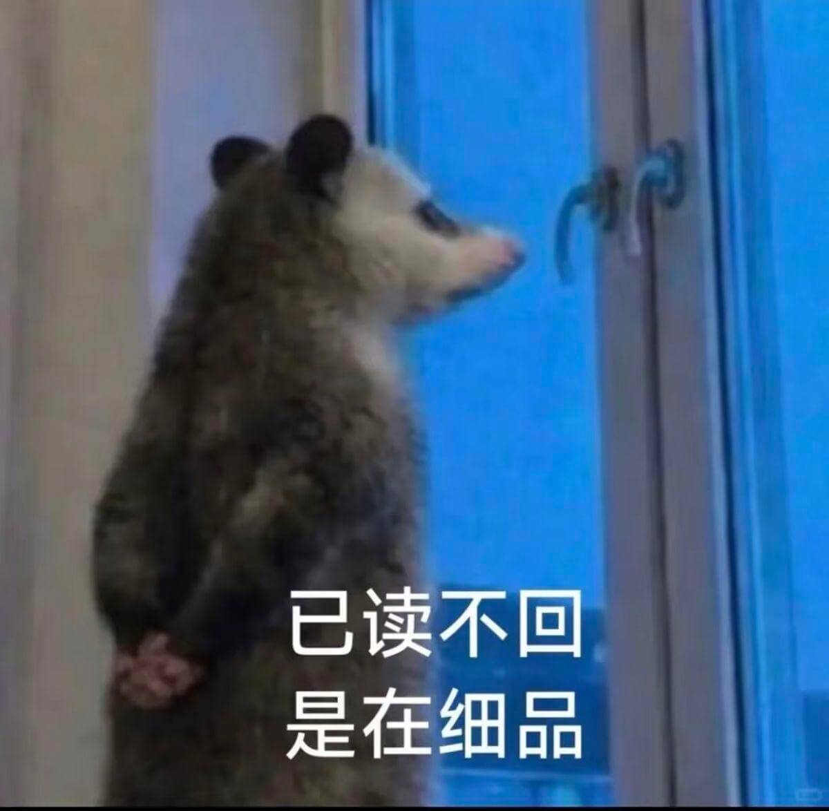 已读不回，是在细品
