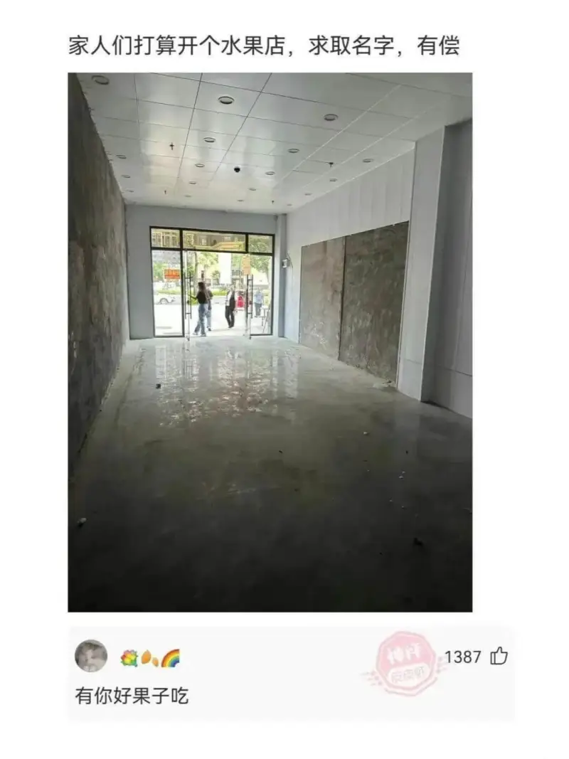 家人们打算开个水果店，求取名字，有偿有你好果子吃1387