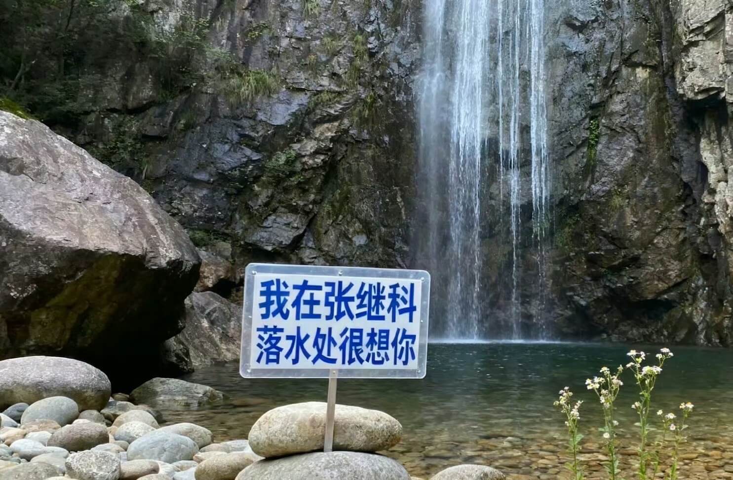 我在张继科落水处很想你