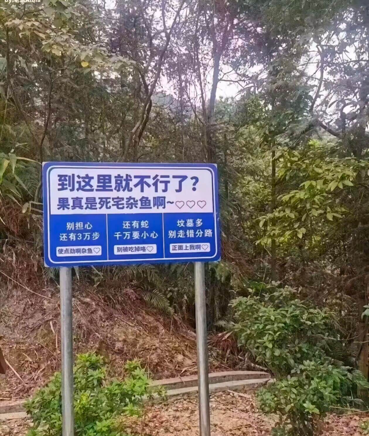 到这里就不行了?果真是死宅杂鱼啊~别担心,还有蛇,坟墓多,千