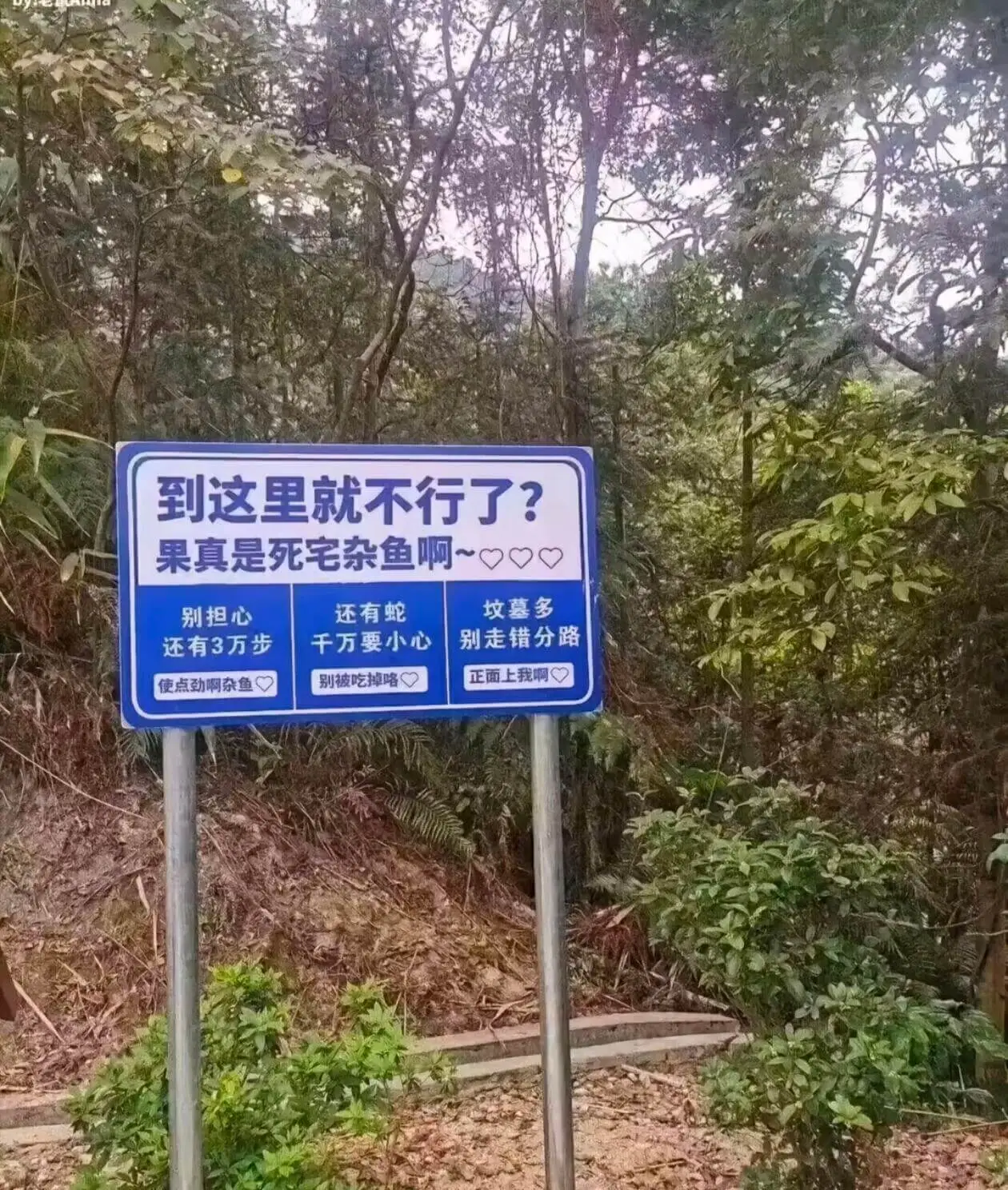 到这里就不行了？果真是死宅杂鱼啊~别担心，还有蛇，坟墓多，千