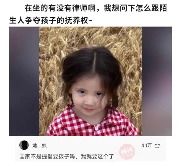 在坐的有没有律师啊，我想问下怎么跟陌生人争夺孩子的抚养权~她