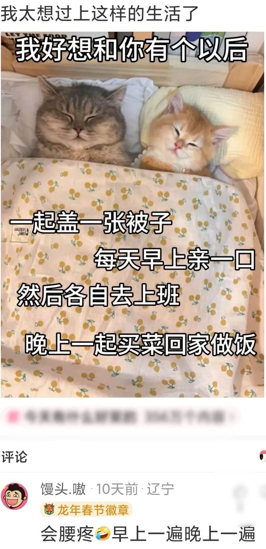 我太想过上这样的生活了我好想和你有个以后，一起盖一张被子，每