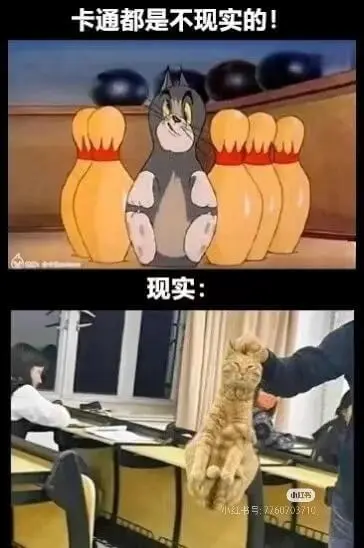 卡通都是不现实的！现实:小红书小红书号:7760703710