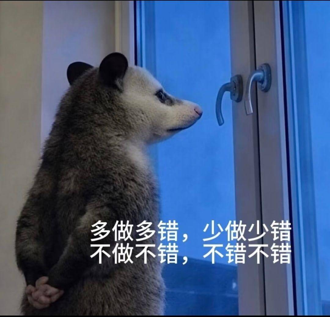 多做多错，少做少错，不做不错，不错不错。