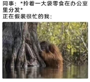 同事：*拎着一大袋零食在办公室里分发*正在假装很忙的我：