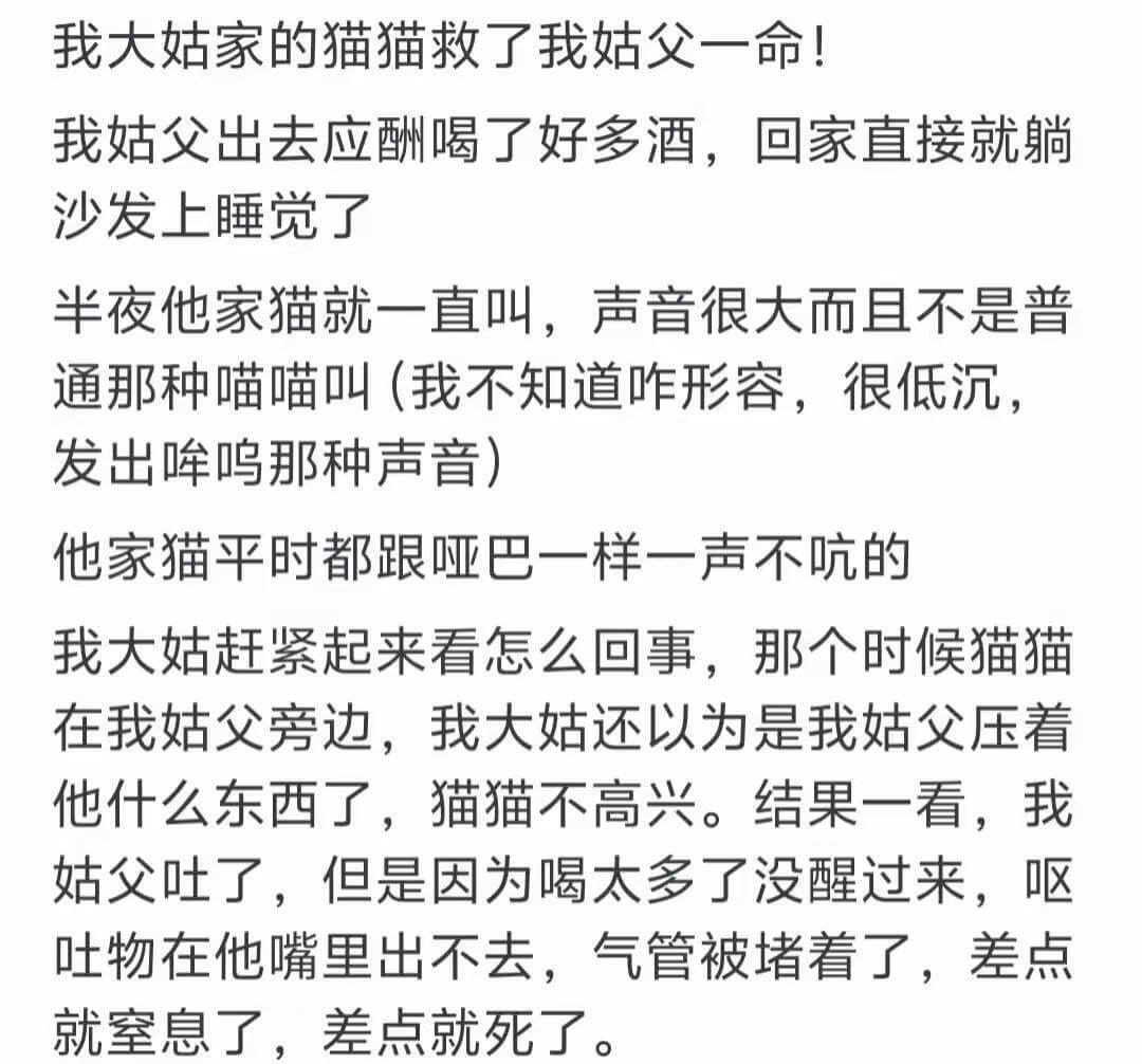 我大姑家的猫猫救了我姑父一命!我姑父出去应酬喝了好多酒,回家