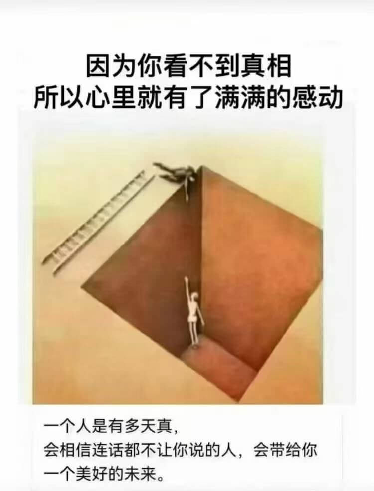 因为你看不到真相所以心里就有了满满的感动一个人是有多天真会相