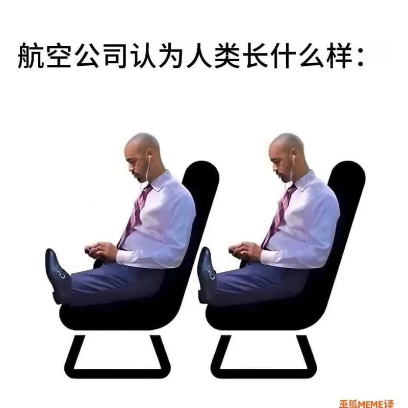 航空公司认为人类长什么样：巫狐MEME译