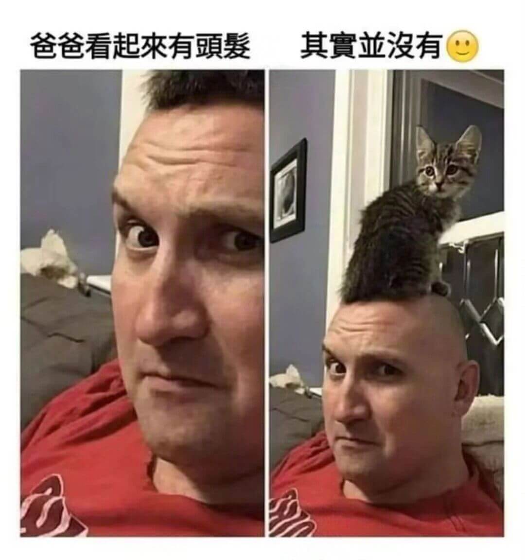 爸爸看起来有頭髪其實亚没有