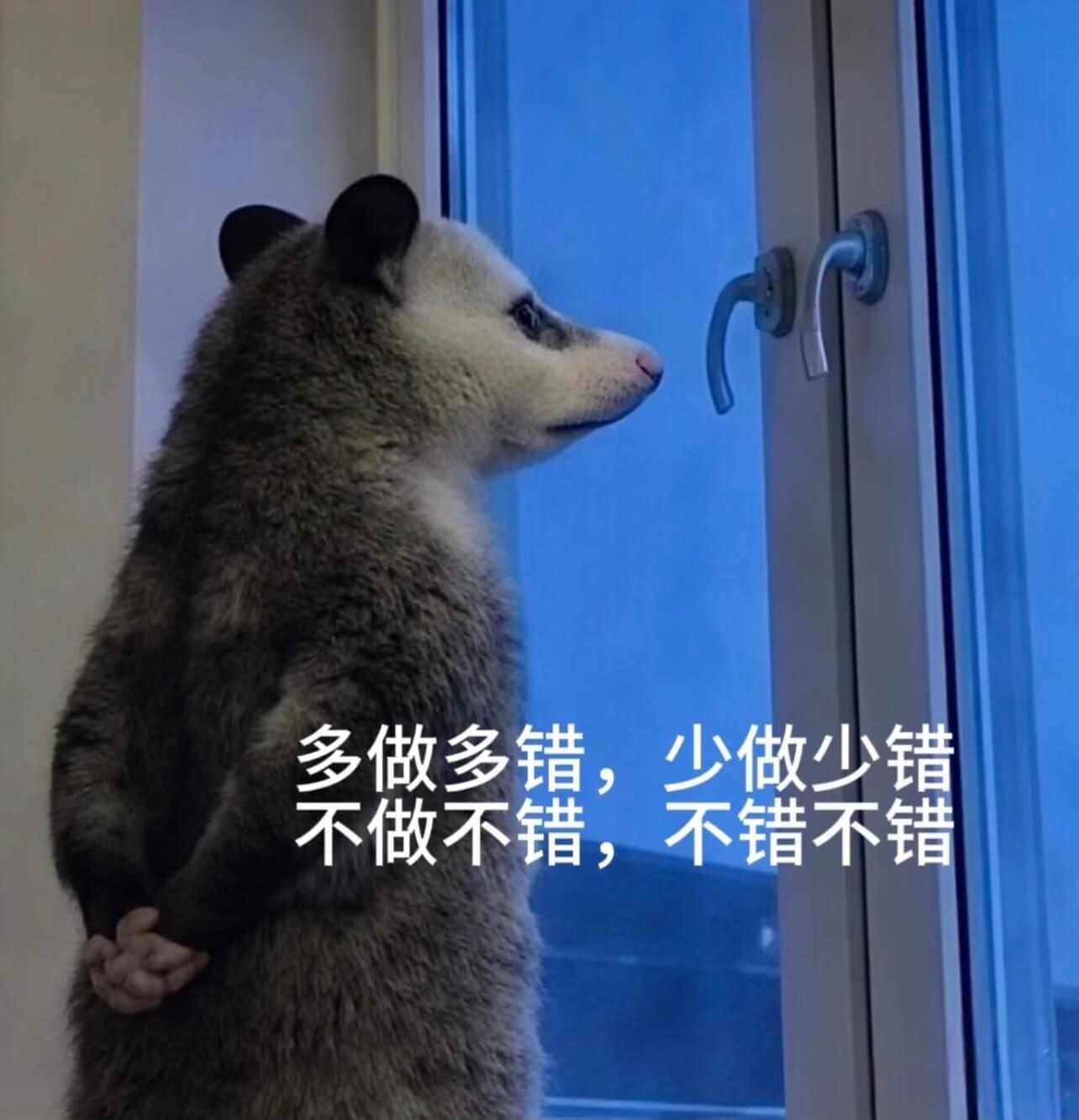 多做多错，少做少错，不做不错，不错不错