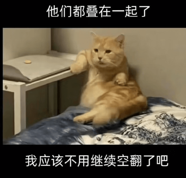 他们都叠在一起了，我应该不用继续空翻了吧